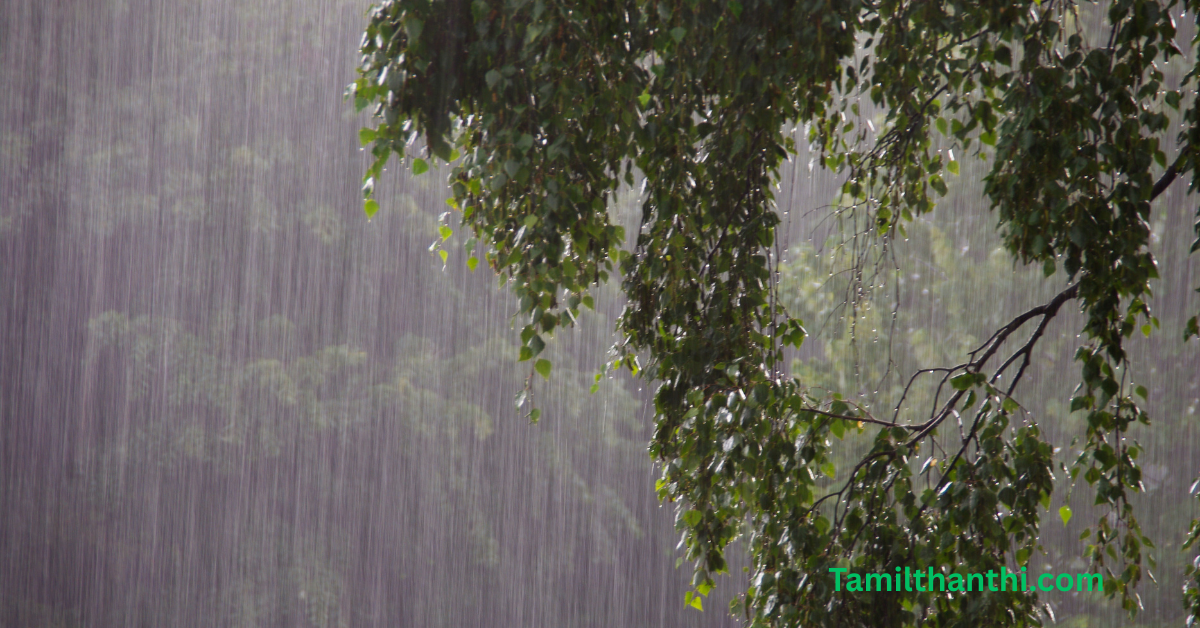 Tamilthanthi.com